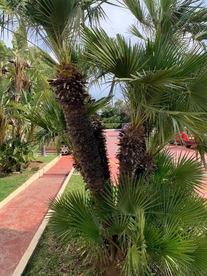 Vue Mer Exceptionnelle, El Rosario Marbella Exteriör bild